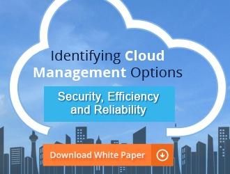 Identifying Cloud Management Options - Download White Paper